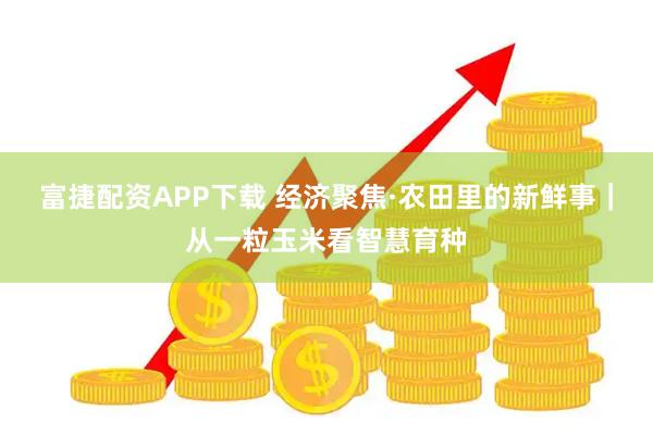 富捷配资APP下载 经济聚焦·农田里的新鲜事｜从一粒玉米看智慧育种