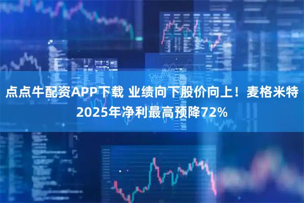 点点牛配资APP下载 业绩向下股价向上！麦格米特2025年净利最高预降72%